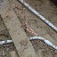solar installation thumbnail image